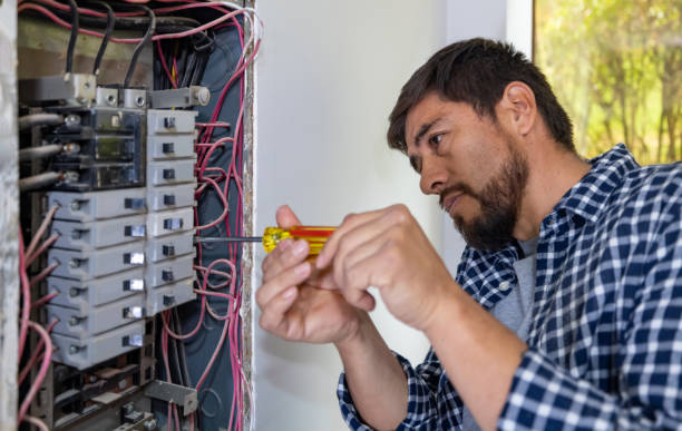 Best Electric Panel Repair  in Whitesboro, TX